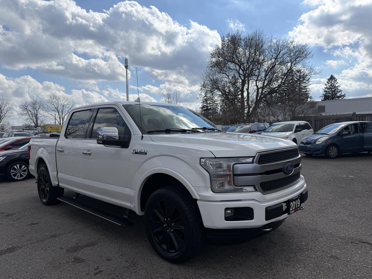 2019 Ford F-150 Platinum | Clean CARFAX | Loaded - Photo #1