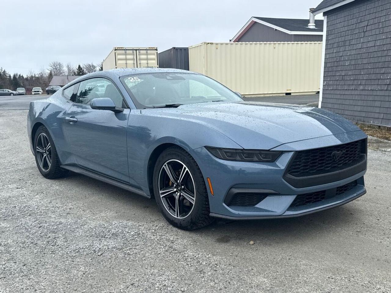 2025 Ford Mustang  Photo