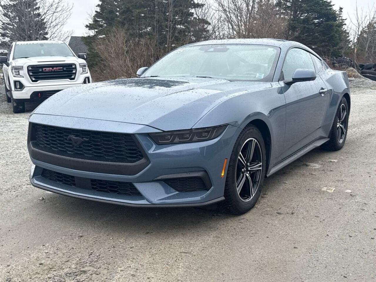 2025 Ford Mustang 
