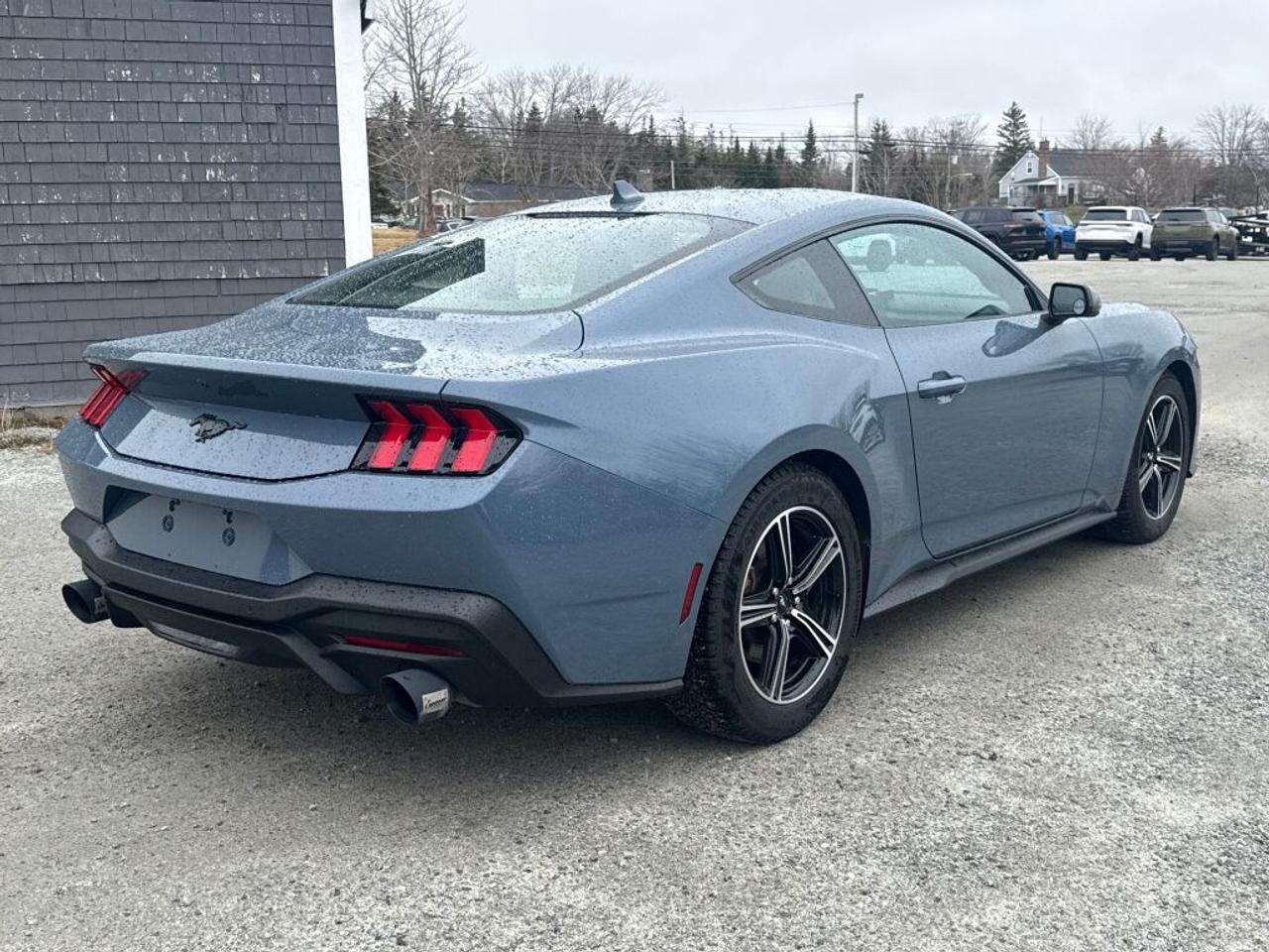 2025 Ford Mustang  Photo