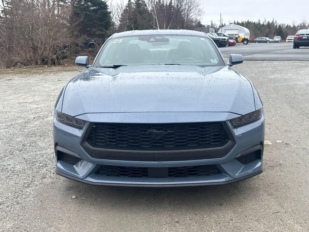 2025 Ford Mustang  Photo