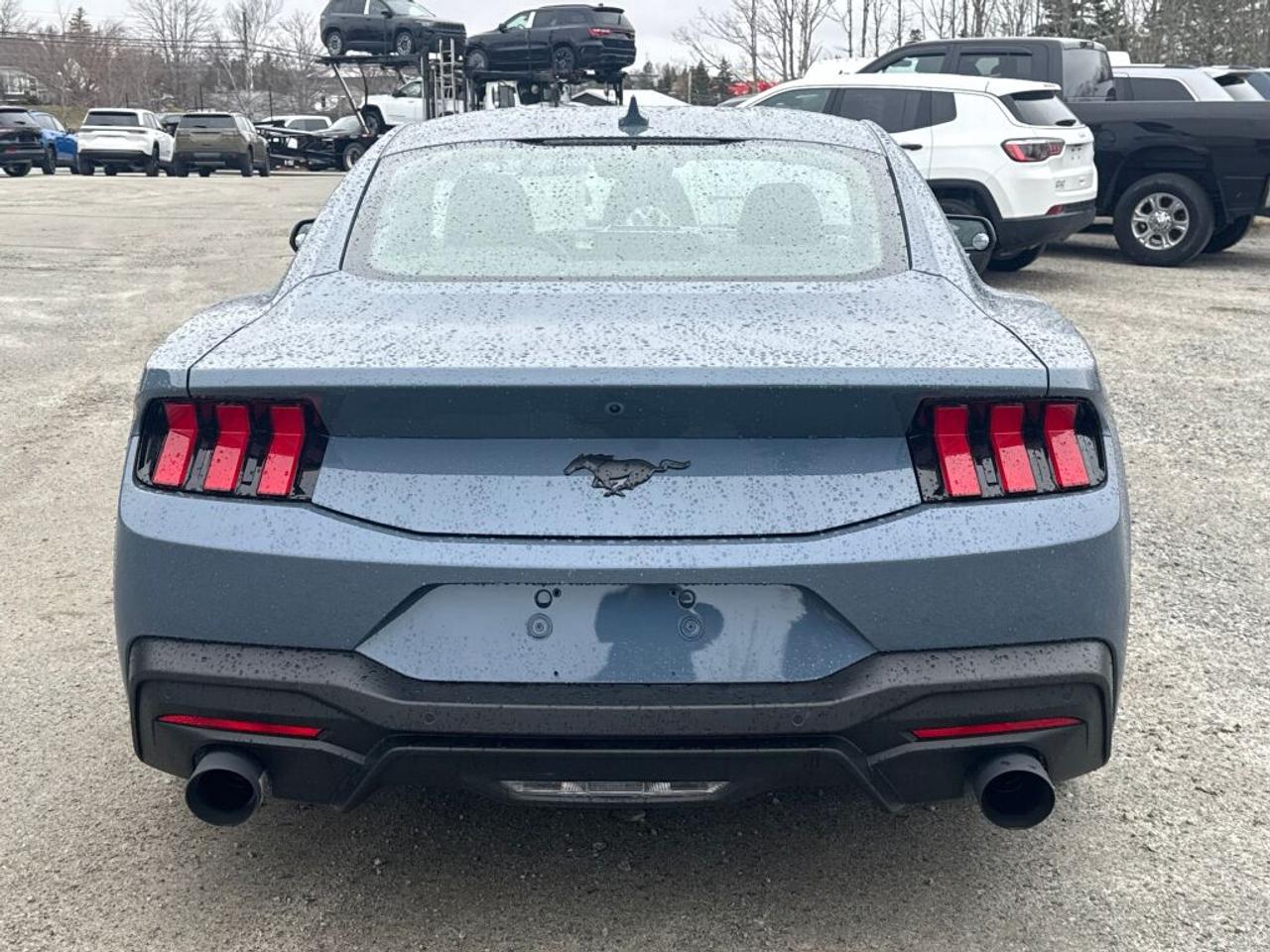 2025 Ford Mustang  Photo