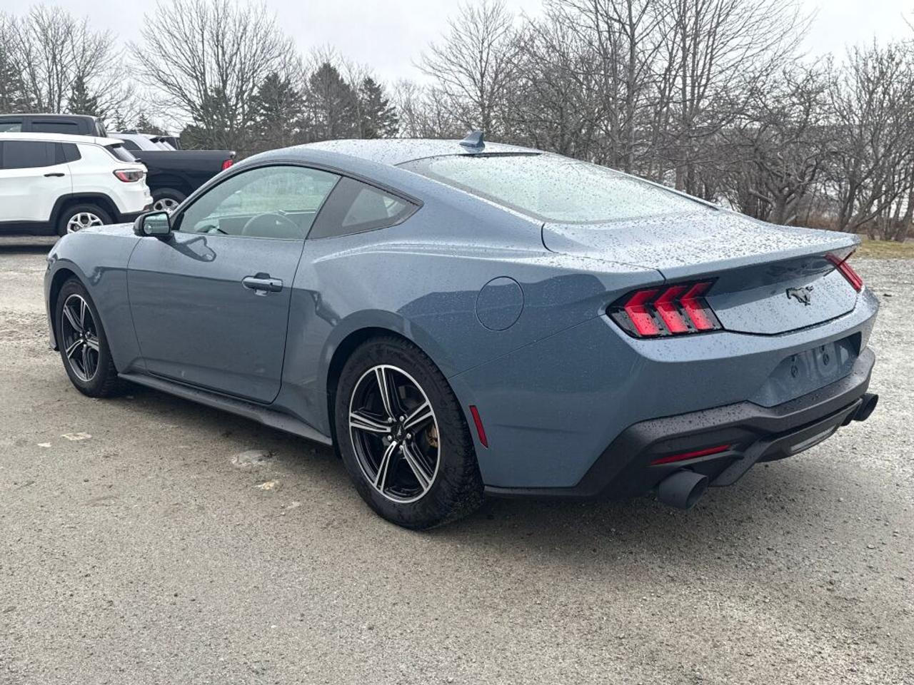 2025 Ford Mustang  Photo