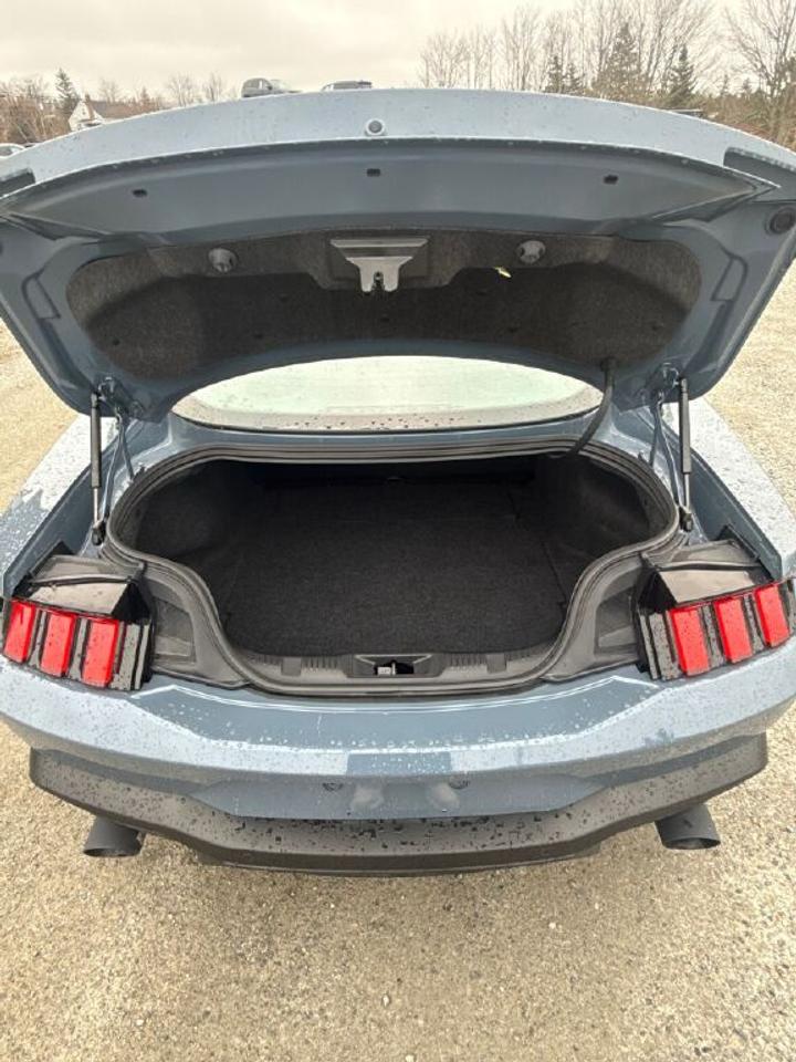 2025 Ford Mustang  Photo