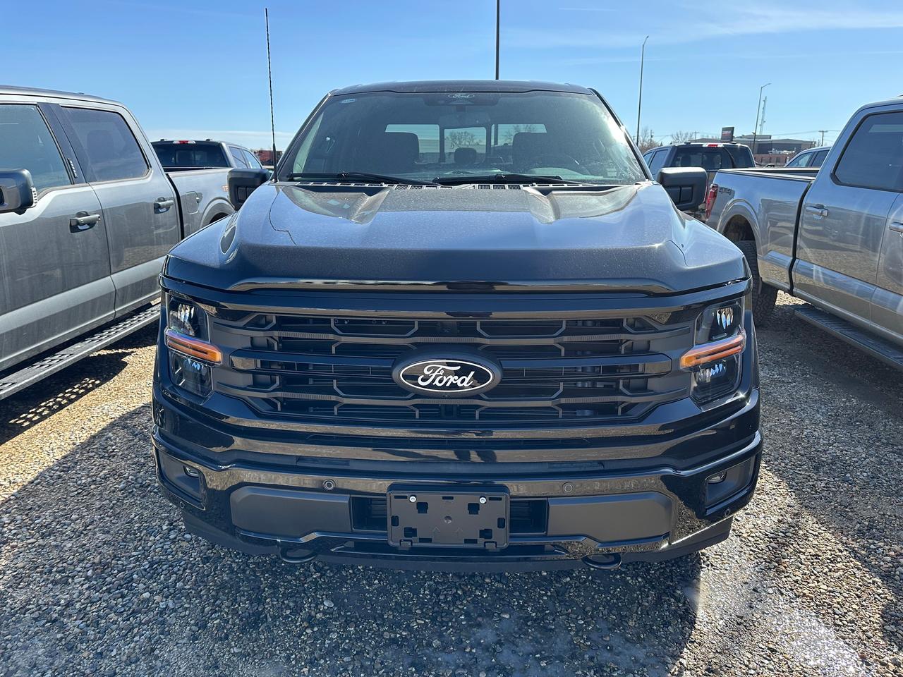 2026 Ford F-150 XLT 4WD SuperCrew 5.5' Box 302A Photo5