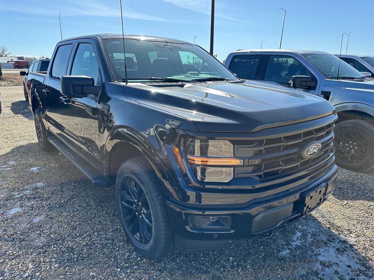 2026 Ford F-150 XLT 4WD SuperCrew 5.5' Box 302A Photo5