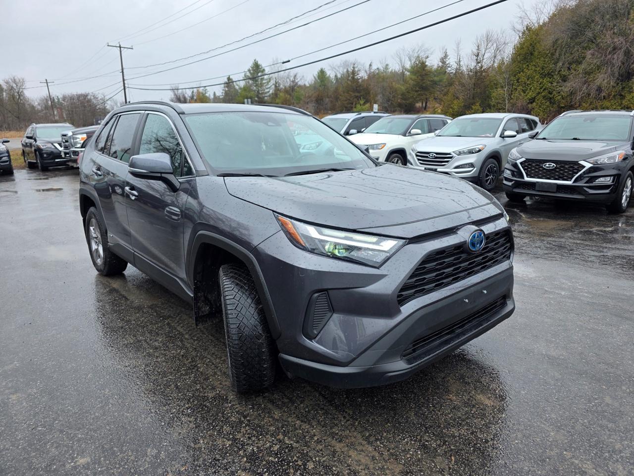 2022 Toyota RAV4 Hybrid XLE Photo