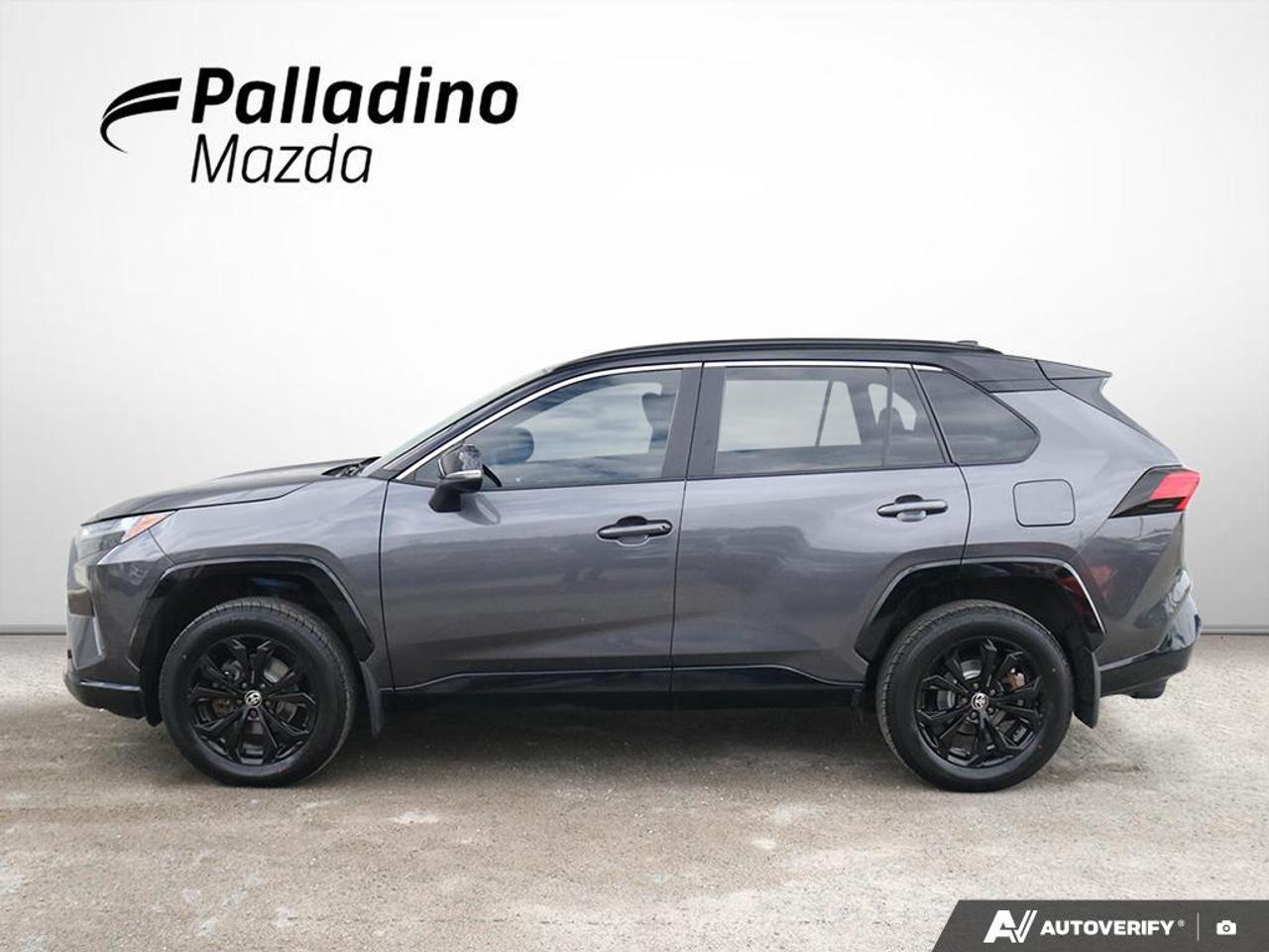 2023 Toyota RAV4 Hybrid XSE Photo