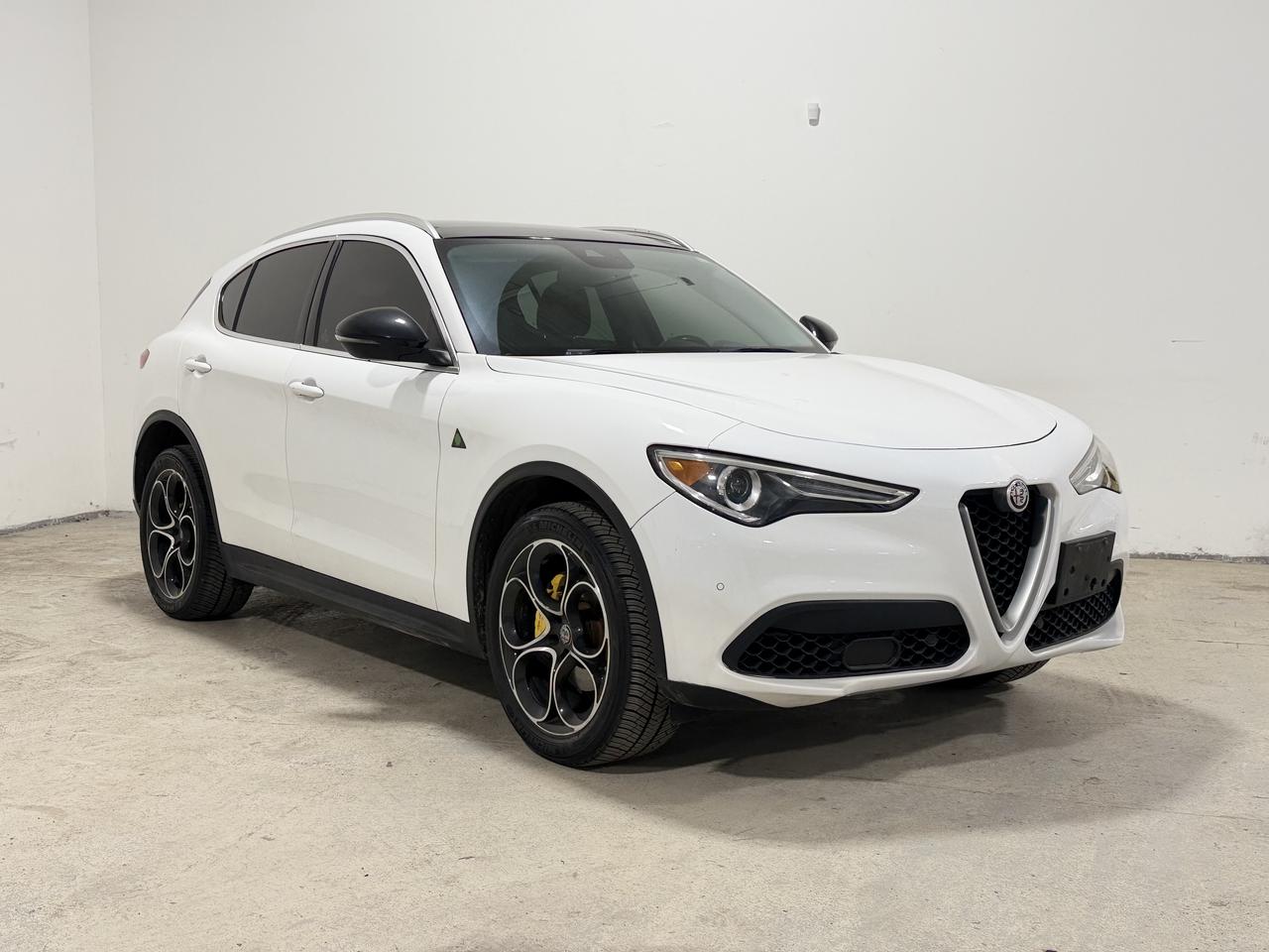 2019 Alfa Romeo Stelvio TI LUSSO Photo2