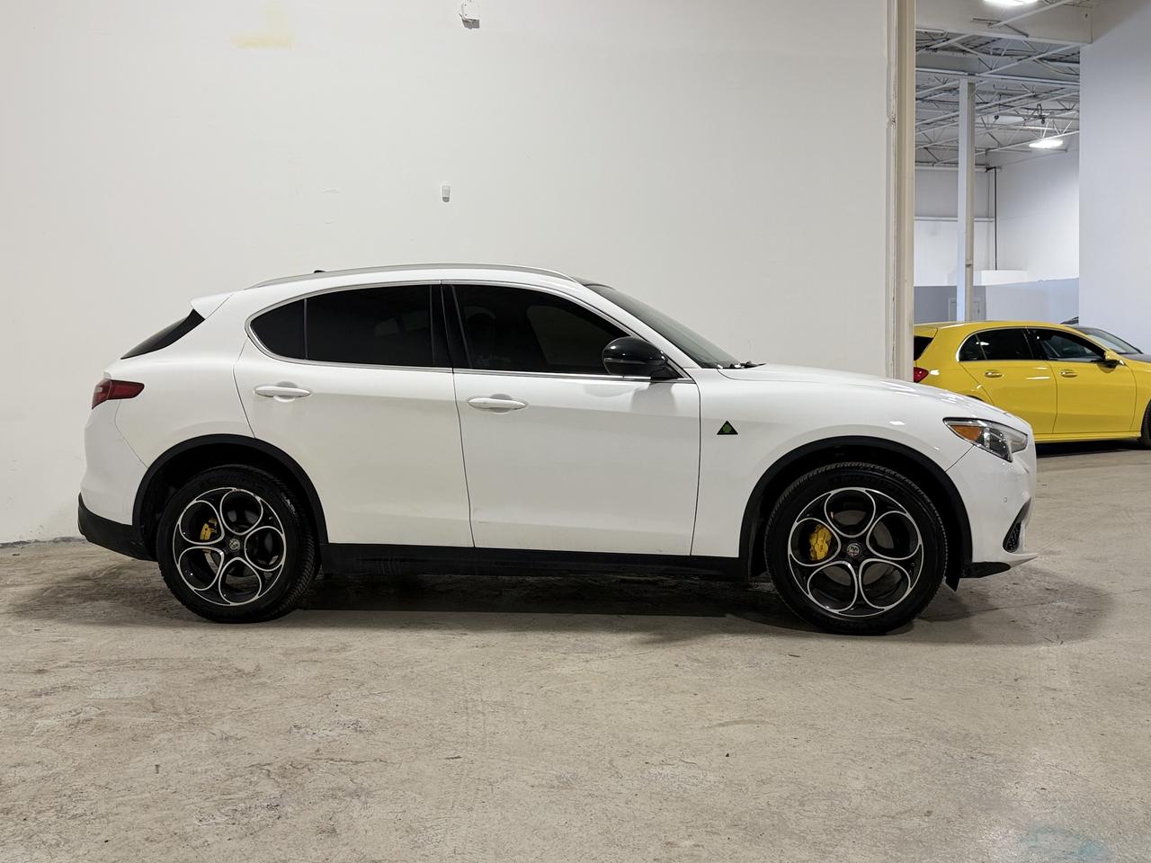 2019 Alfa Romeo Stelvio TI LUSSO Photo3