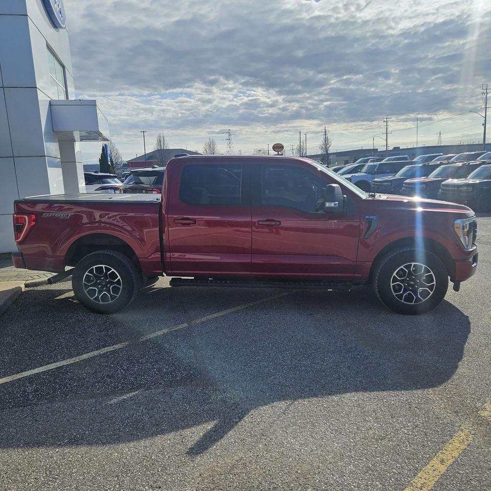 2022 Ford F-150 3.5L, SPORT, 302A, HEATED SEATS, TOW MIRRORS! Photo3