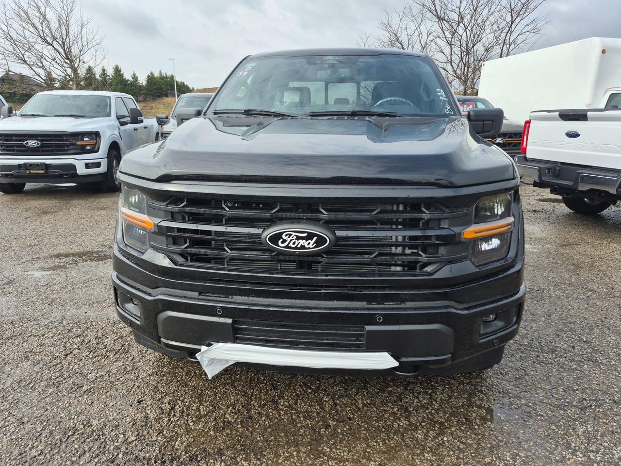 2026 Ford F-150 XLT, BLACK PKG, SPRAY-IN BEDLINER, 360 CAMERA Photo1