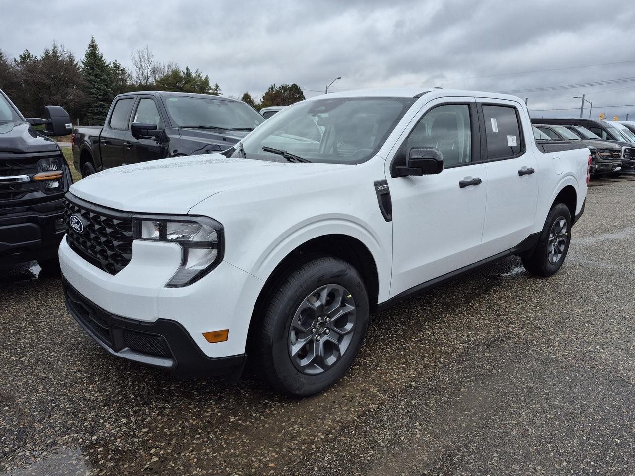 2026 Ford Maverick XLT, CO-PILOT 360, 4K TOW PKG, SPRAY-IN BED Photo
