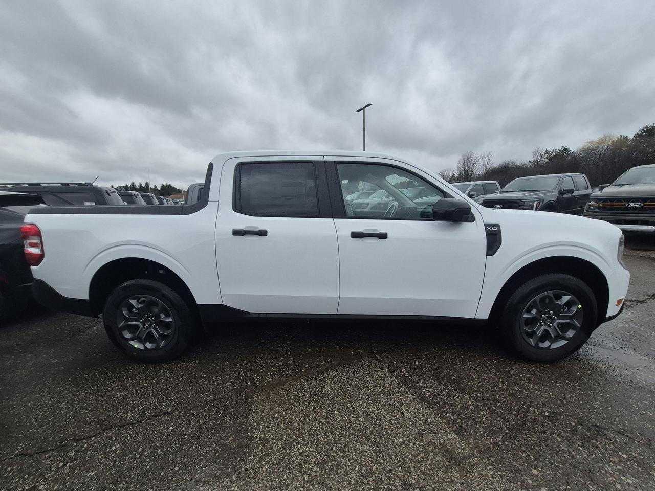 2026 Ford Maverick XLT, CO-PILOT 360, 4K TOW PKG, SPRAY-IN BED Photo