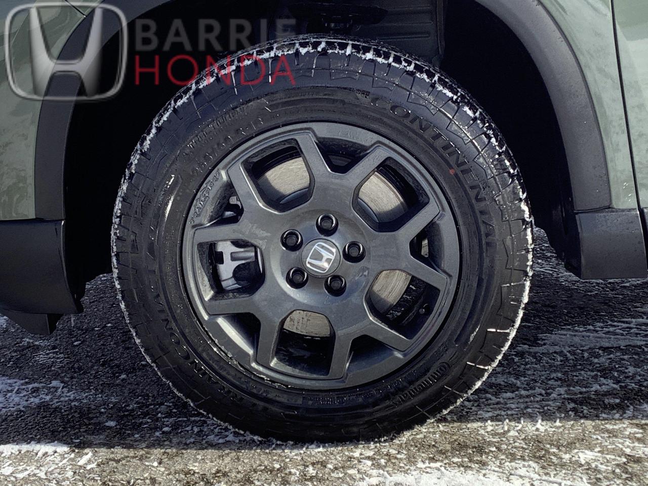 2026 Honda Pilot TrailSport 4dr All-Wheel Drive Photo