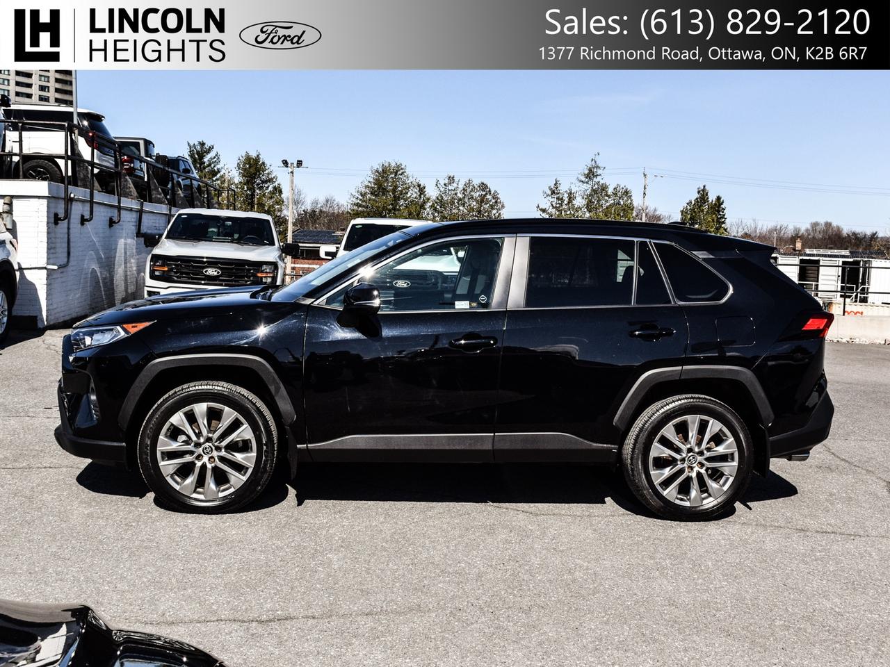 2021 Toyota RAV4  Photo