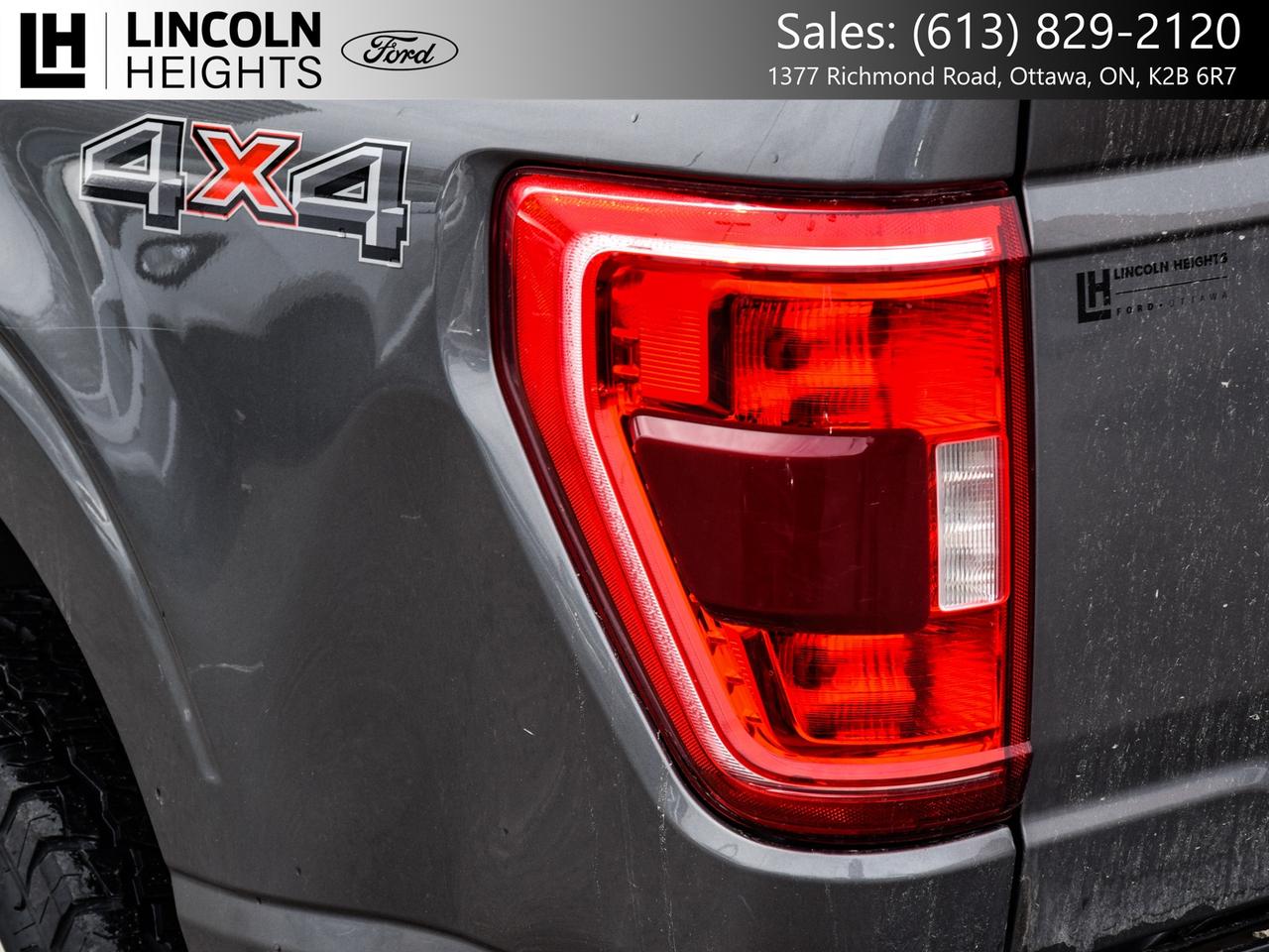2022 Ford F-150  Photo