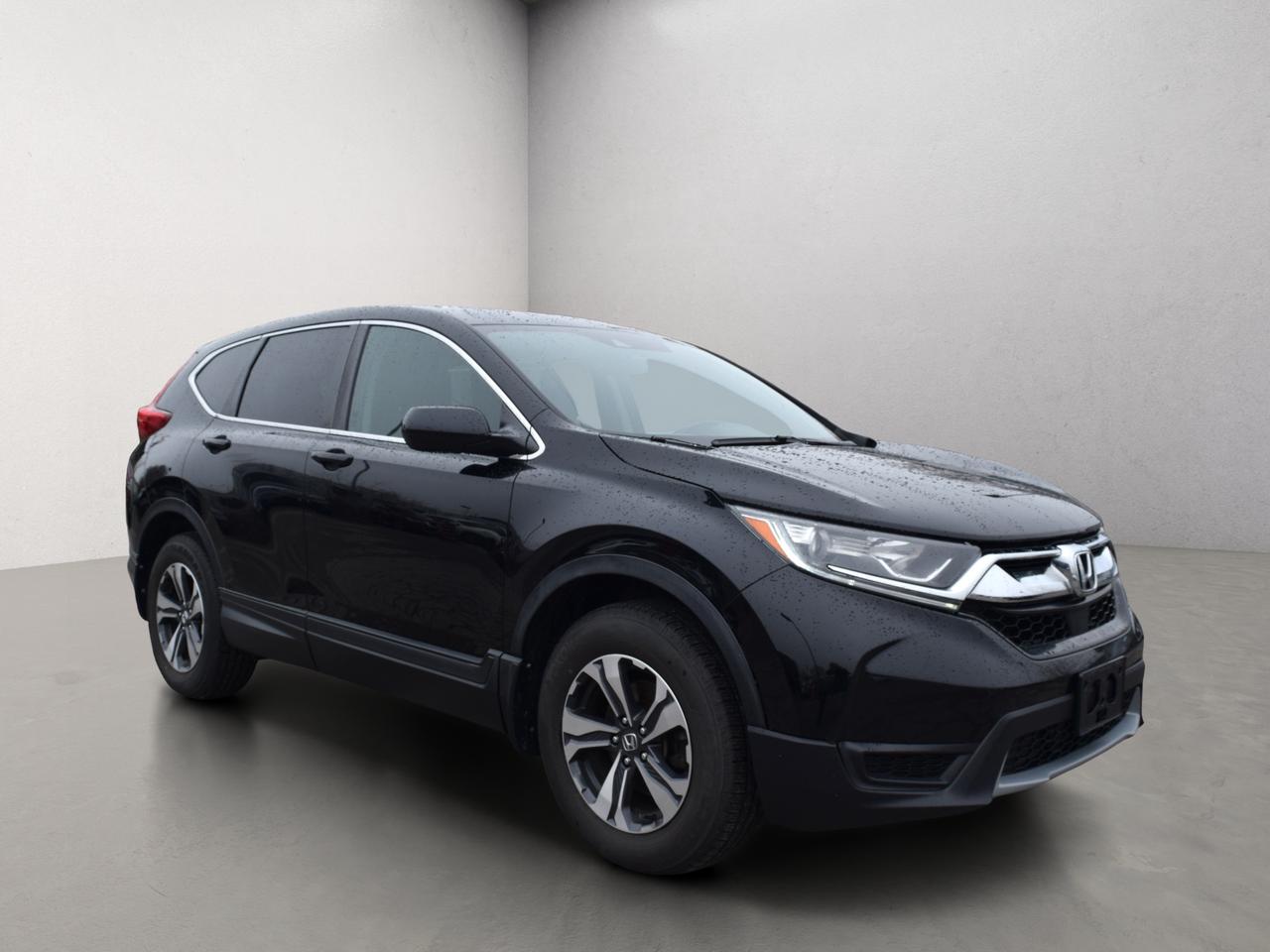 2018 Honda CR-V LX AWD Back Up Camera Photo