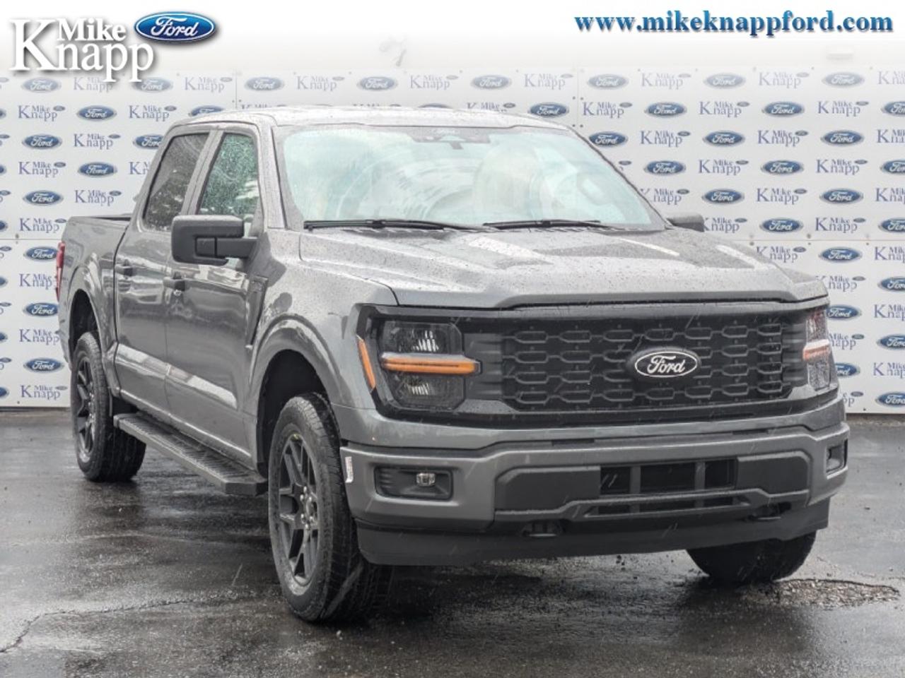 2026 Ford F-150 STX Photo