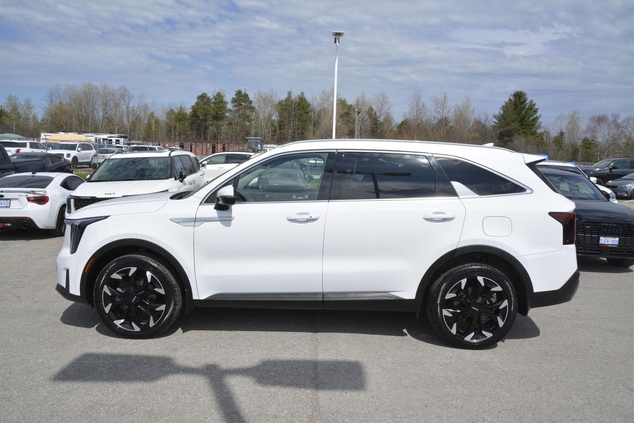 2025 Kia Sorento EX AWD Photo