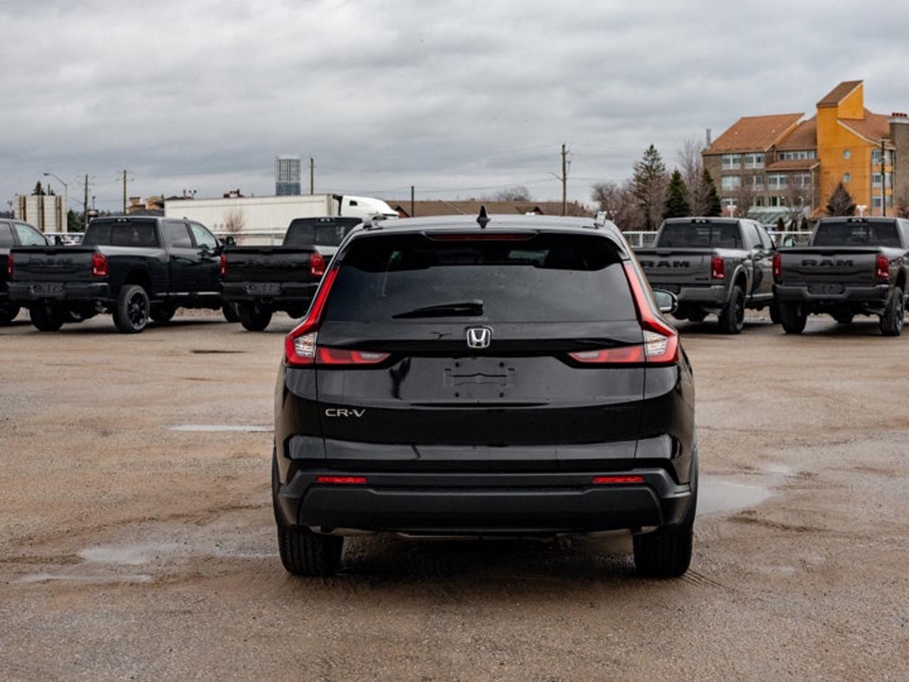 2024 Honda CR-V Sport Photo