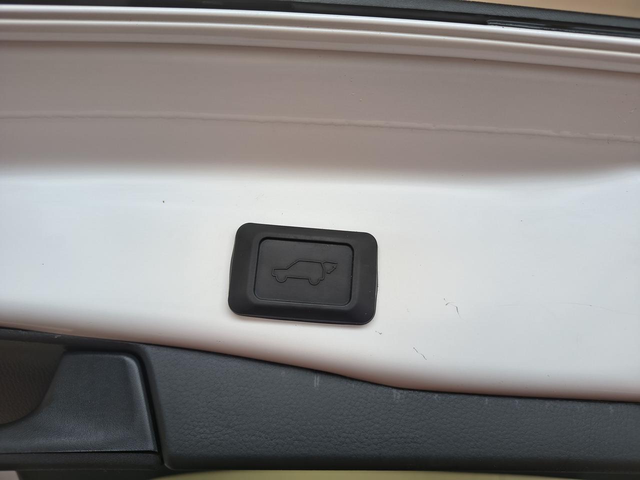 2025 Toyota RAV4 XLE Photo