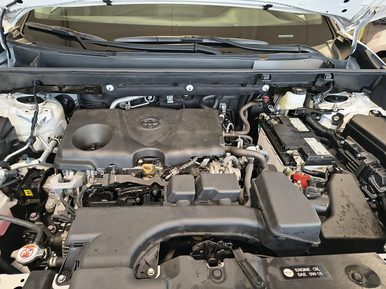 2025 Toyota RAV4 XLE Photo
