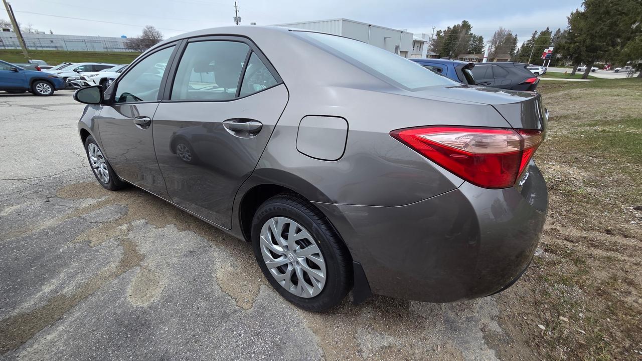 2019 Toyota Corolla LE Photo