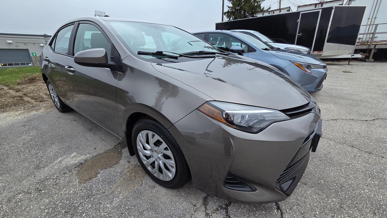 2019 Toyota Corolla LE Photo2