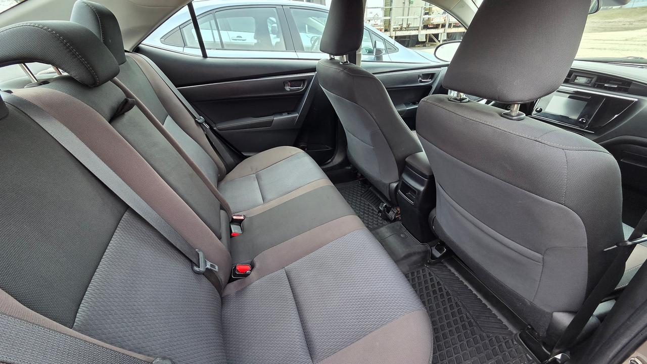 2019 Toyota Corolla LE Photo