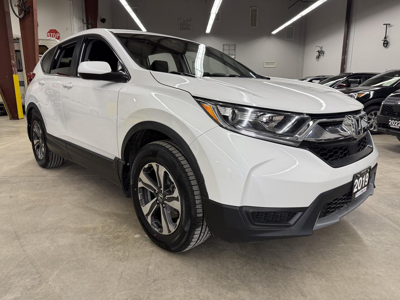 2019 Honda CR-V LX Photo
