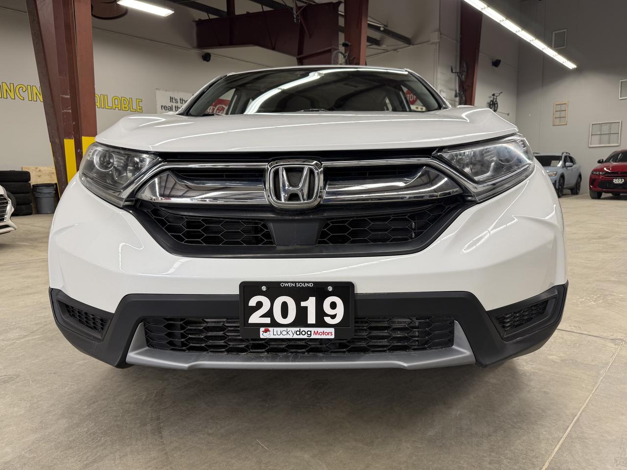 2019 Honda CR-V LX Photo