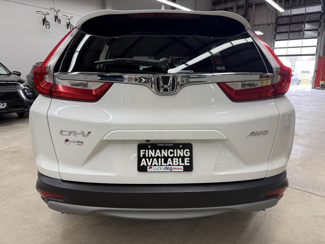 2019 Honda CR-V LX Photo