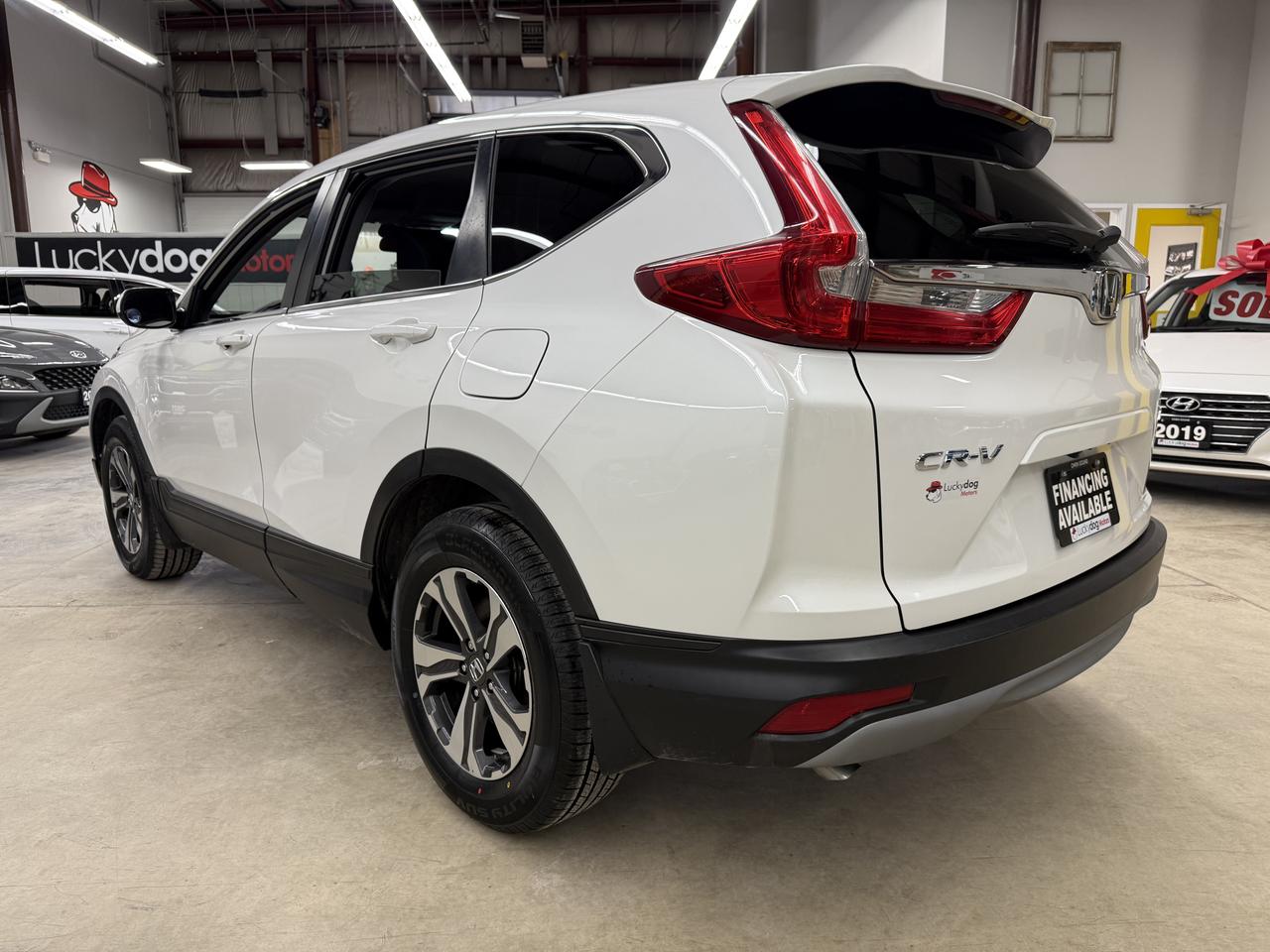 2019 Honda CR-V LX Photo