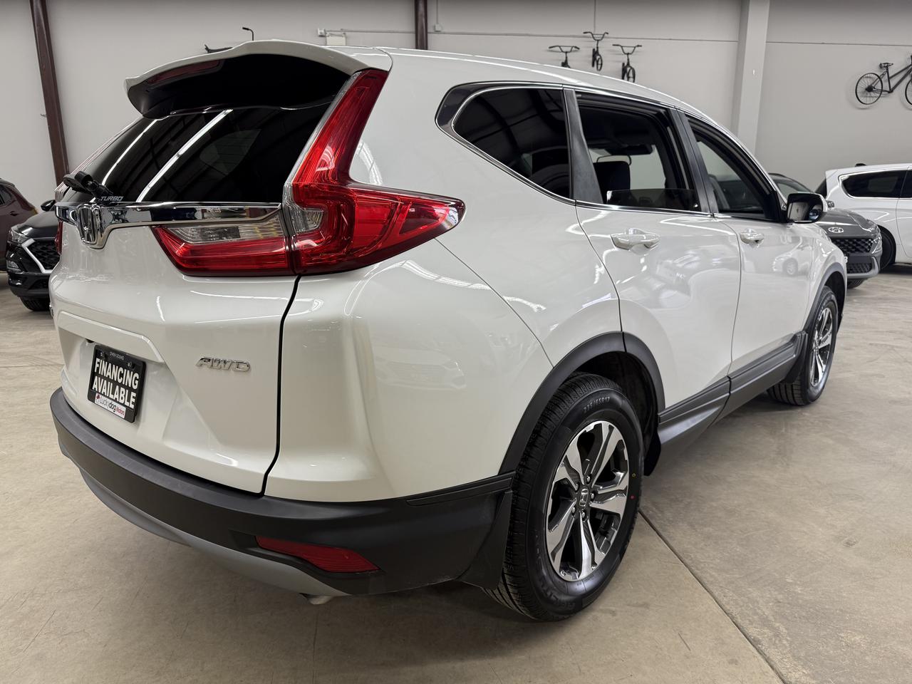 2019 Honda CR-V LX Photo