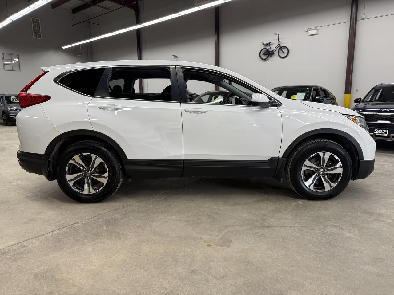 2019 Honda CR-V LX Photo