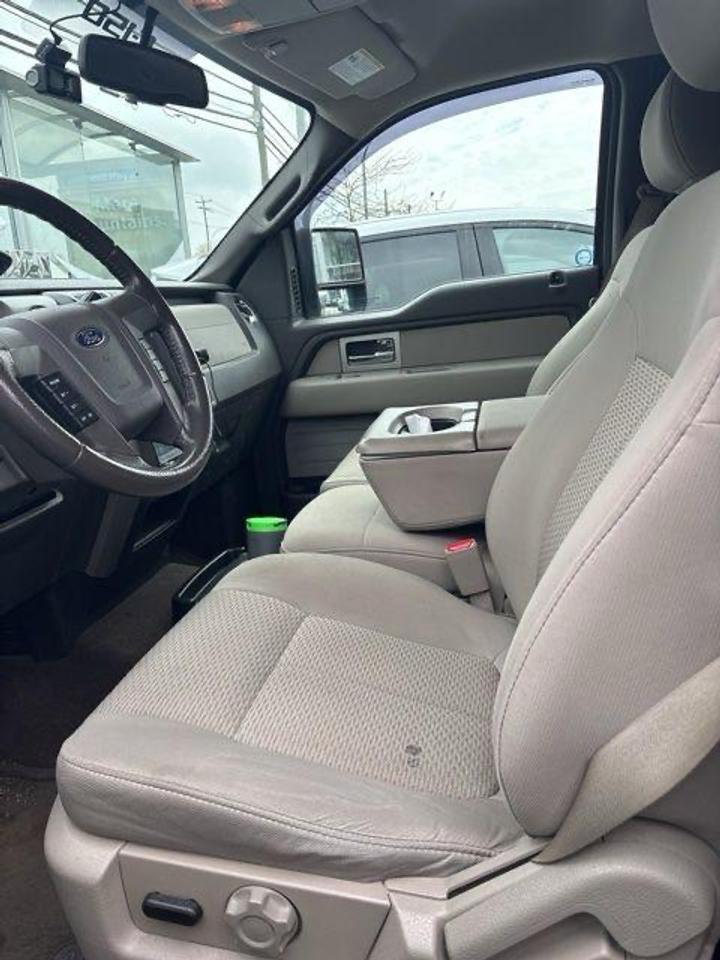 2010 Ford F-150 XLT Photo