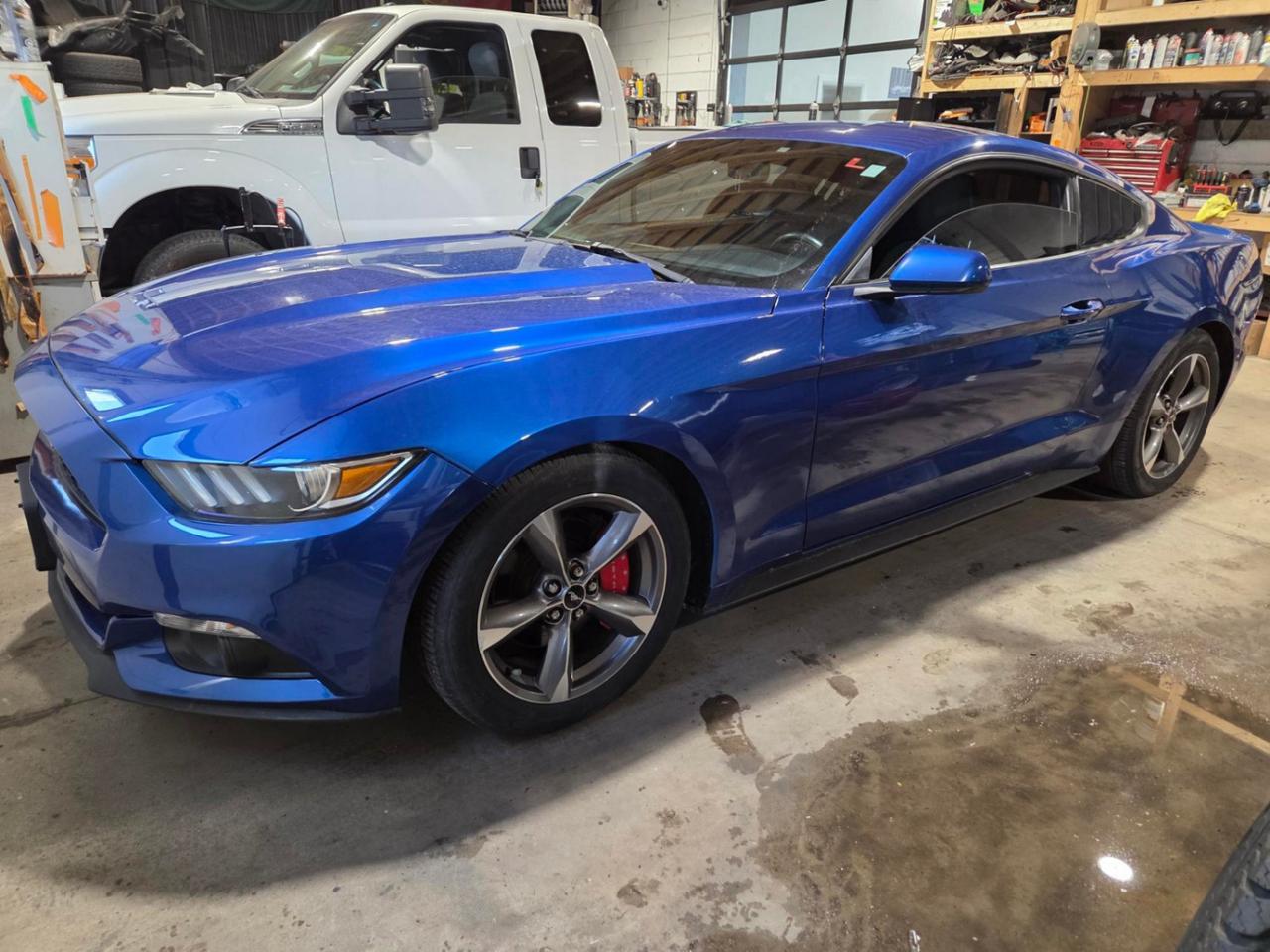 <p>{ CERTIFIED PRE-OWNED }</p><br><p>**THIS VEHICLE COMES FULLY CERTIFIED WITH A SAFETY CERTIFICATE & SERVICED AT NO EXTRA COST**</p><br><p>**$0 DOWN...PRIME RATE FINANCING APPROVALS**o.a.c.</p><br><p>WE CAN FINANCE INTERNATIONAL STUDENTS, NEW IMMIGRANTS, WORK PERMITS, #9 SIN, AND PR RESIDENTS!</p><p>CERTIFICATION INCLUDED!! NO REPORTED ACCIDENTS ON CARFAX!! **AUTOMATIC** 3.7L V6!! FULLY LOADED!! RARE LIGHTNING BLUE ON BLACK INTERIOR!! FULLY LOADED!! REMOTE START!! KEYLESS ENTRY!! BACK UP CAMERA!! BLUETOOTH!! TINTED WINDOWS! SPOILER! K & N COLD AIR INTAKE! MODIFIED EXHAUST! SIDE LOUVERS!! ALLOYS AND SO MUCH MORE!! READY FOR SOME SUMMER FUN! PRICED TO SELL FAST!!<span id=jodit-selection_marker_1776204044151_6781932112516664 style=line-height: 0; display: none; data-jodit-selection_marker=start></span></p><p>#BEST DEAL IN TOWN! WHY PAY MORE ANYWHERE ELSE?</p><br><p>FINANCING & EXTENDED WARRANTIES AVAILABLE ON ALL VEHICLES! </p><br><p>COLISEUM AUTO SALES ON WESTON </p><p>301 WESTON ROAD </p><p>TORONTO, ON M6N 3P1 </p><br><p>4 1 6 - 7 6 6 - 2 2 7 7</p>