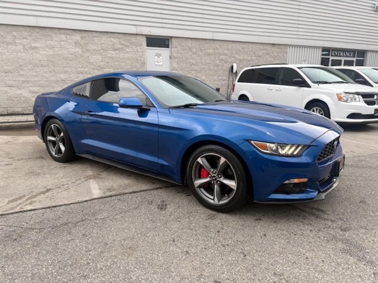 2017 Ford Mustang V6 FASTBACK-AUTOMATIC-CAMERA-REMOTE START-CERTIFIED!! Photo