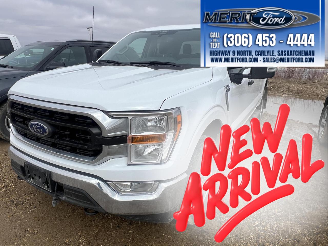 Used 2022 Ford F-150 XLT 5.0L V8 301+ for sale in Carlyle, SK