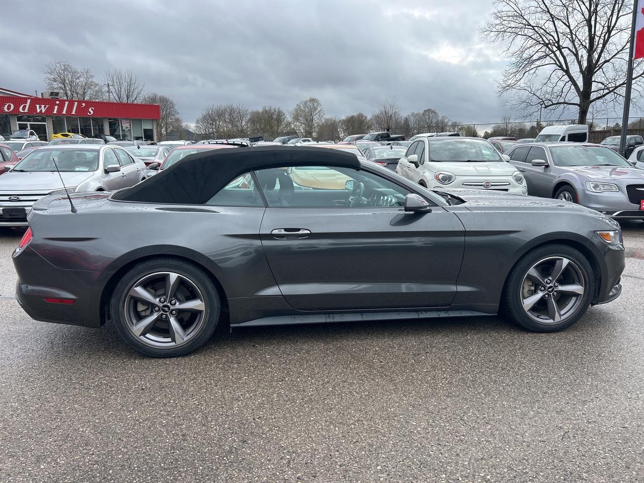 2017 Ford Mustang 3.7L, AUTO, REMOTE START, BACK UP CAMERA, CLOTH! Photo