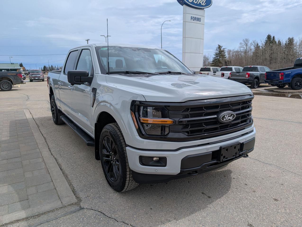 2026 Ford F-150 XLT Photo3