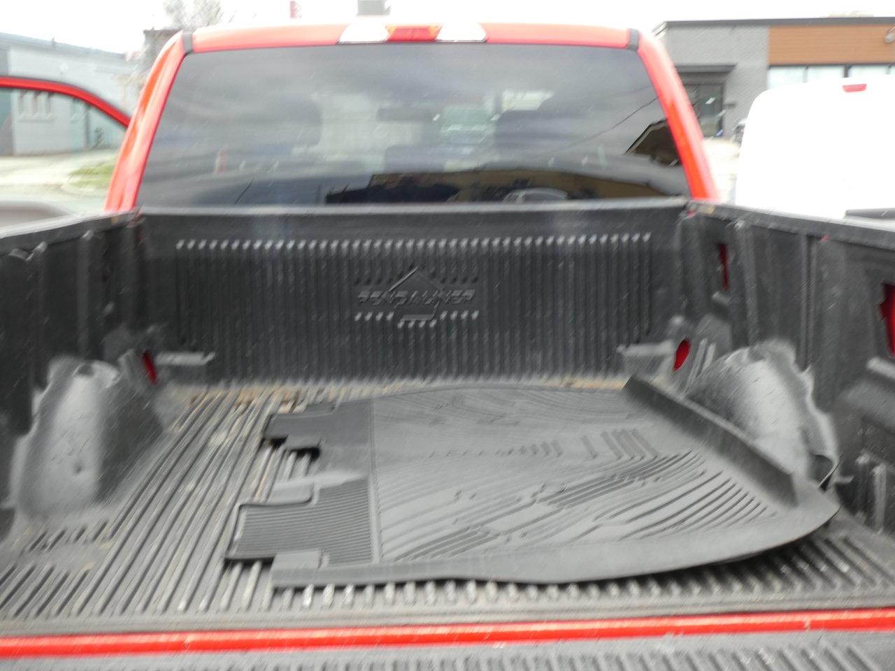 2019 Ford F-150 XTR 5.0 V8 Photo