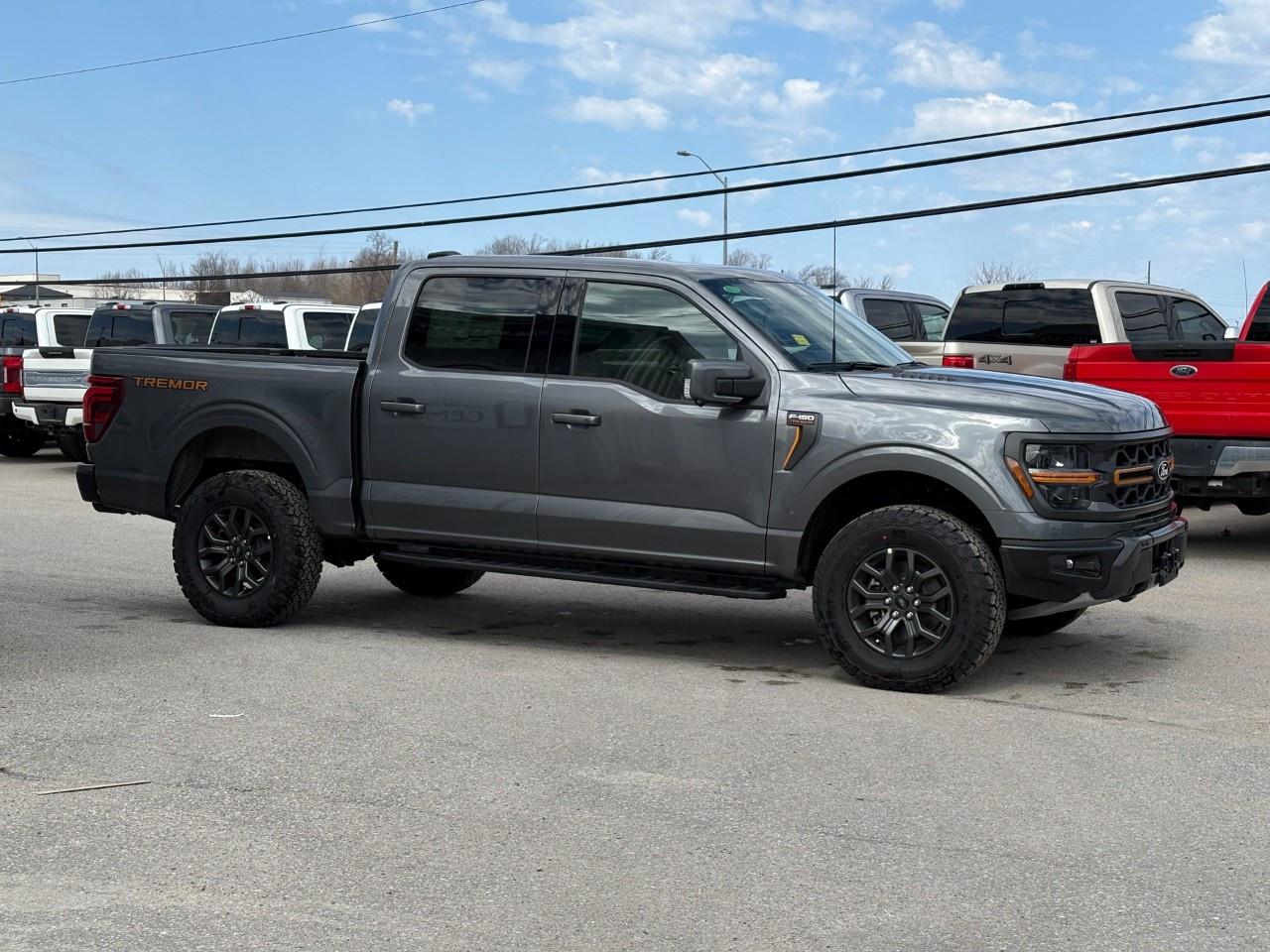 2026 Ford F-150 Tremor 4WD SuperCrew 5.5' Box Photo