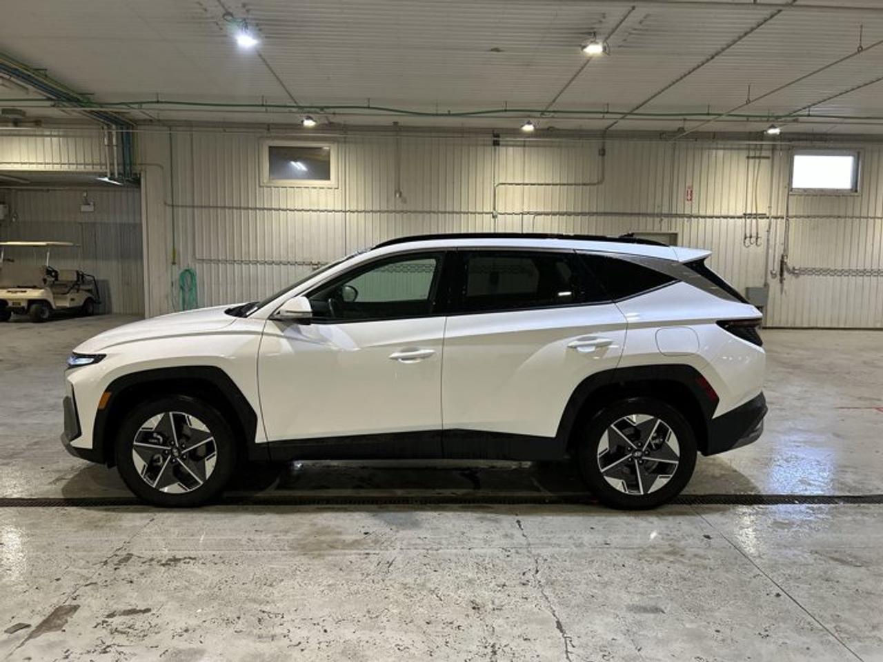 2025 Hyundai Tucson Preferred AWD | No Accidents | Panoramic Sunroof Photo