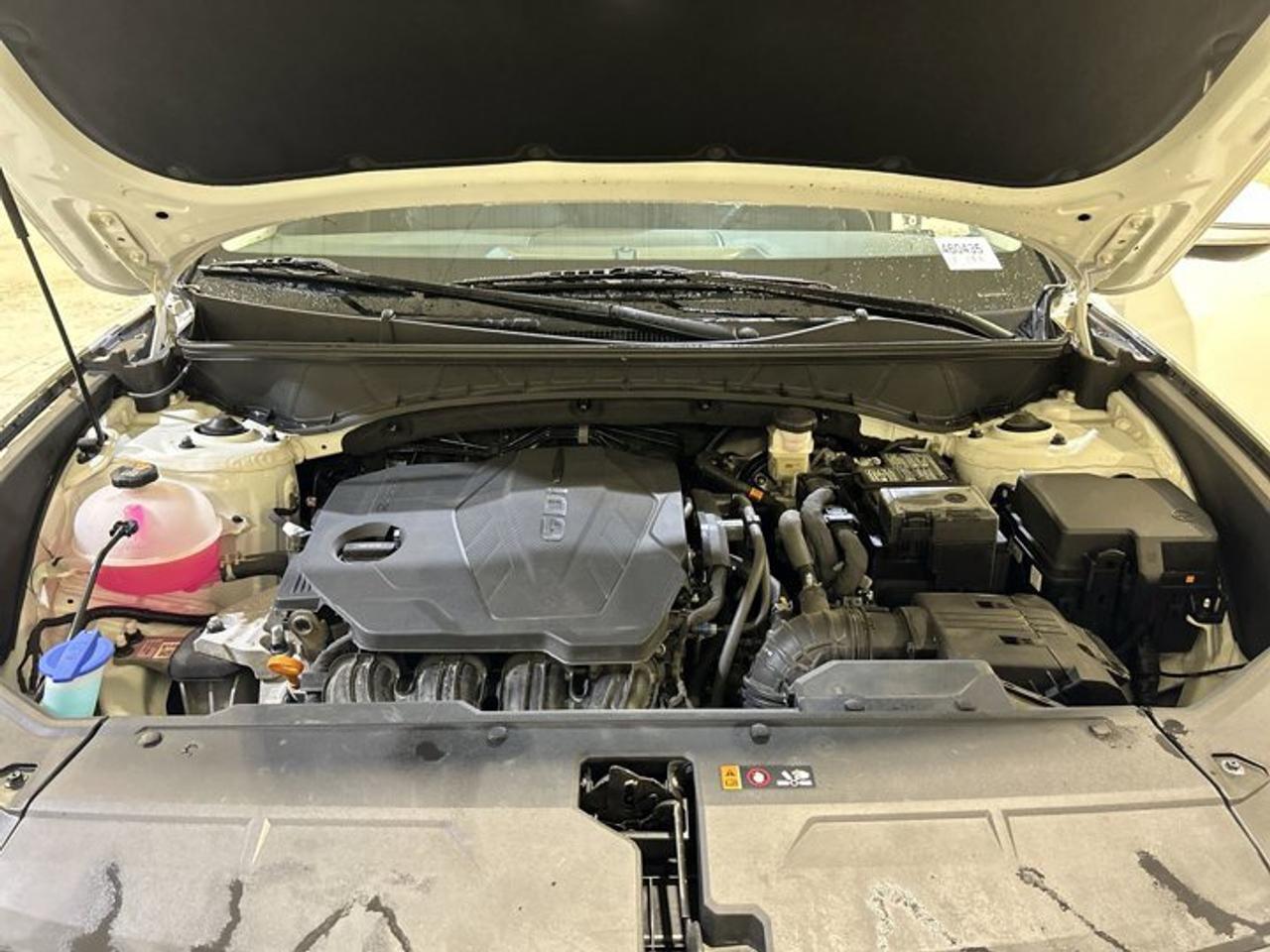 2025 Hyundai Tucson Preferred AWD | No Accidents | Panoramic Sunroof Photo