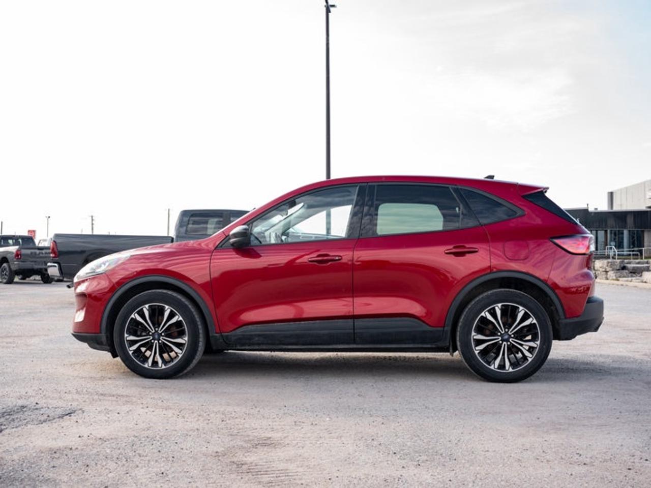 2021 Ford Escape SE Photo