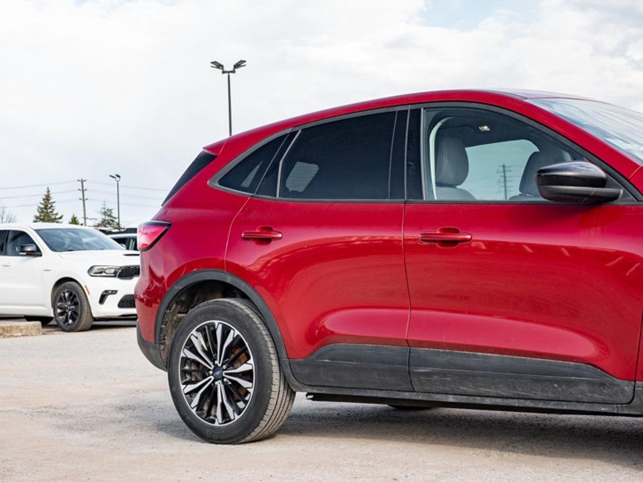 2021 Ford Escape SE Photo
