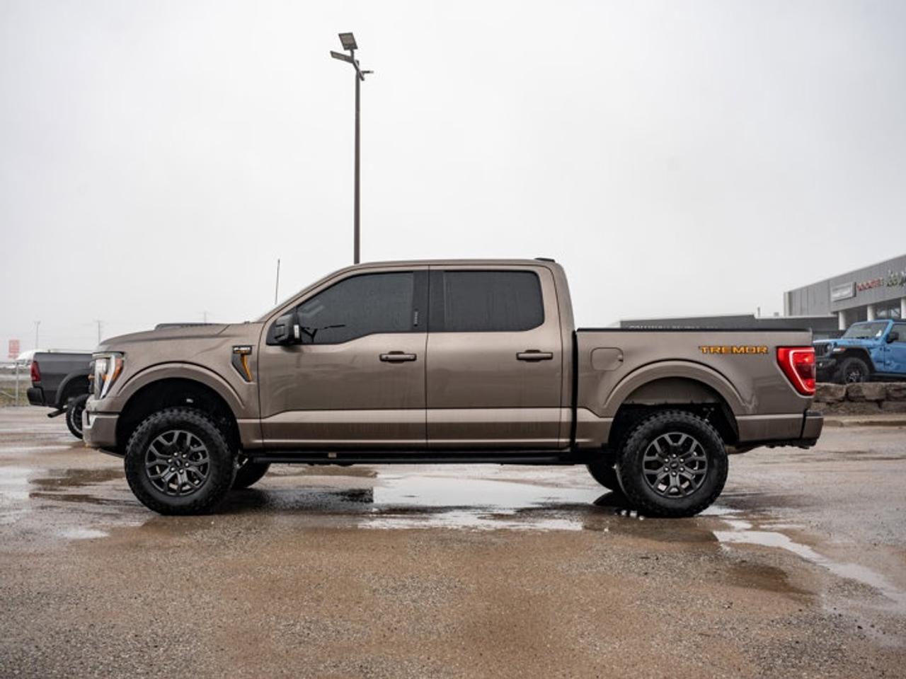 2023 Ford F-150 XL Photo