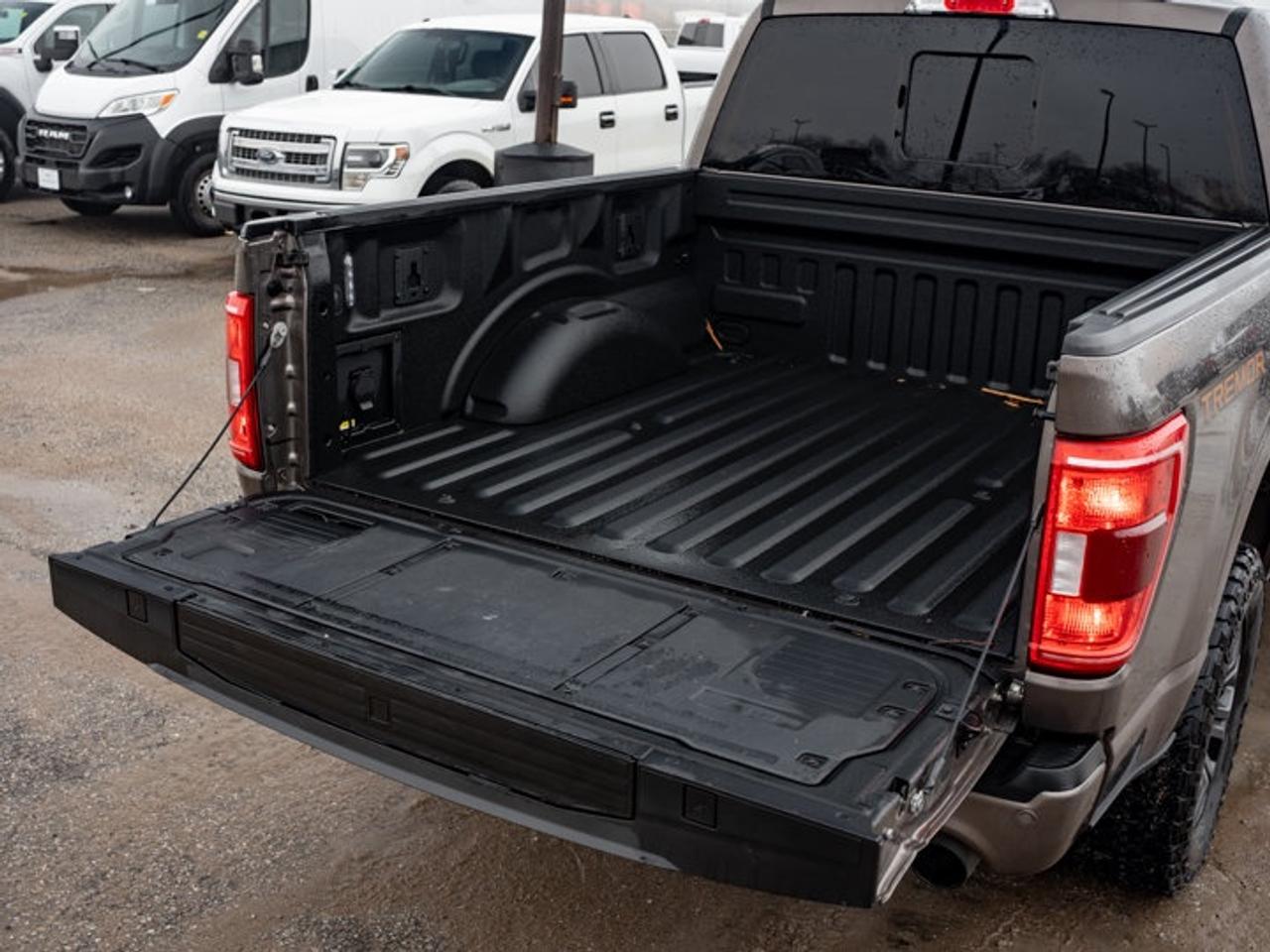 2023 Ford F-150 XL Photo
